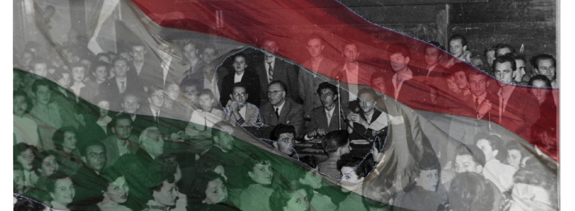 videk_forr_3 videk_forr_3