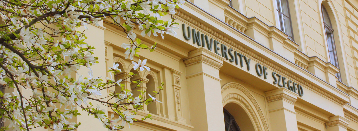 _MG_7576-001 _MG_7576-001