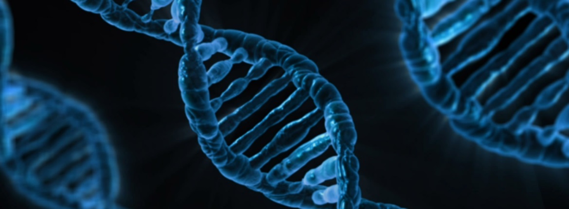 rare_diseases rare_diseases