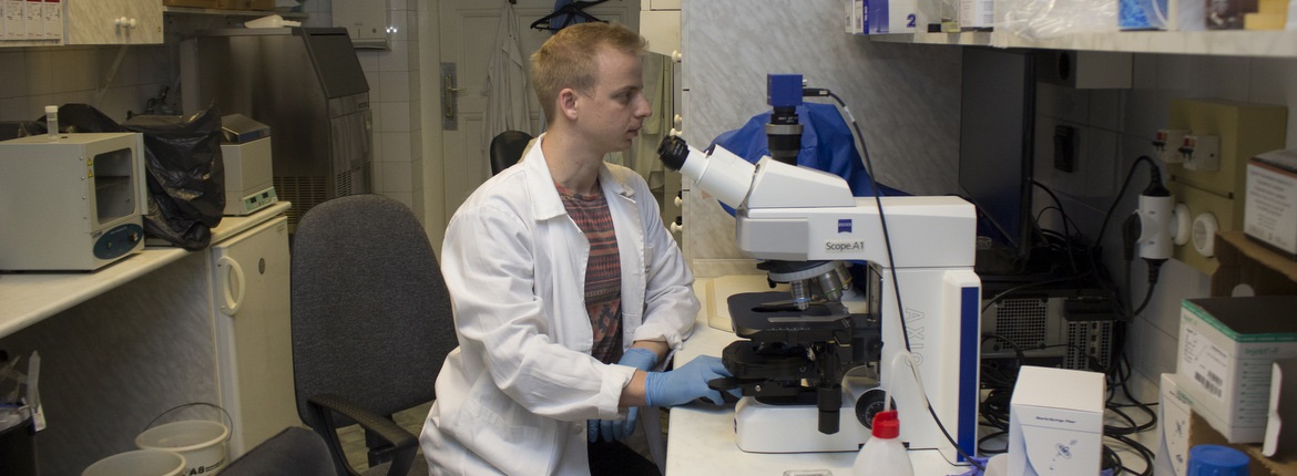 Kovacs_Denes_kiemelt Kovacs_Denes_kiemelt