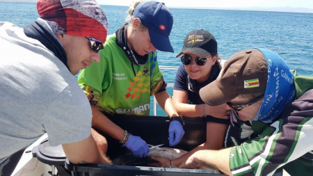 capakutato2 capakutato2