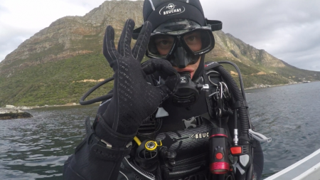 capakutato_MucsiDavid capakutato_MucsiDavid