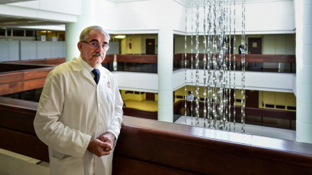 VecseiLaszlo VecseiLaszlo