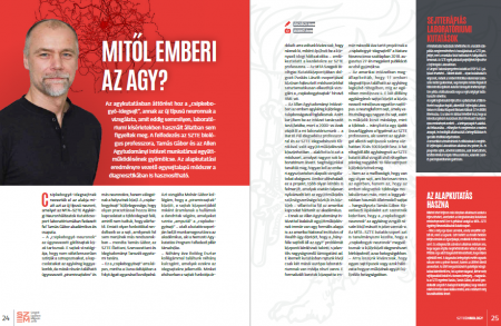 mitol_emberi_az_agy mitol_emberi_az_agy