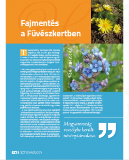 Fajmento_program Fajmento_program