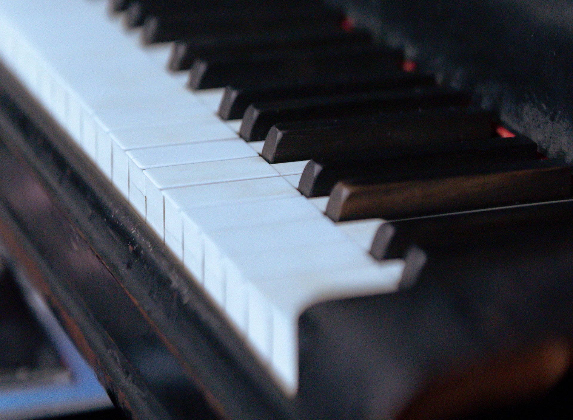 nyari_akademia nyari_akademia