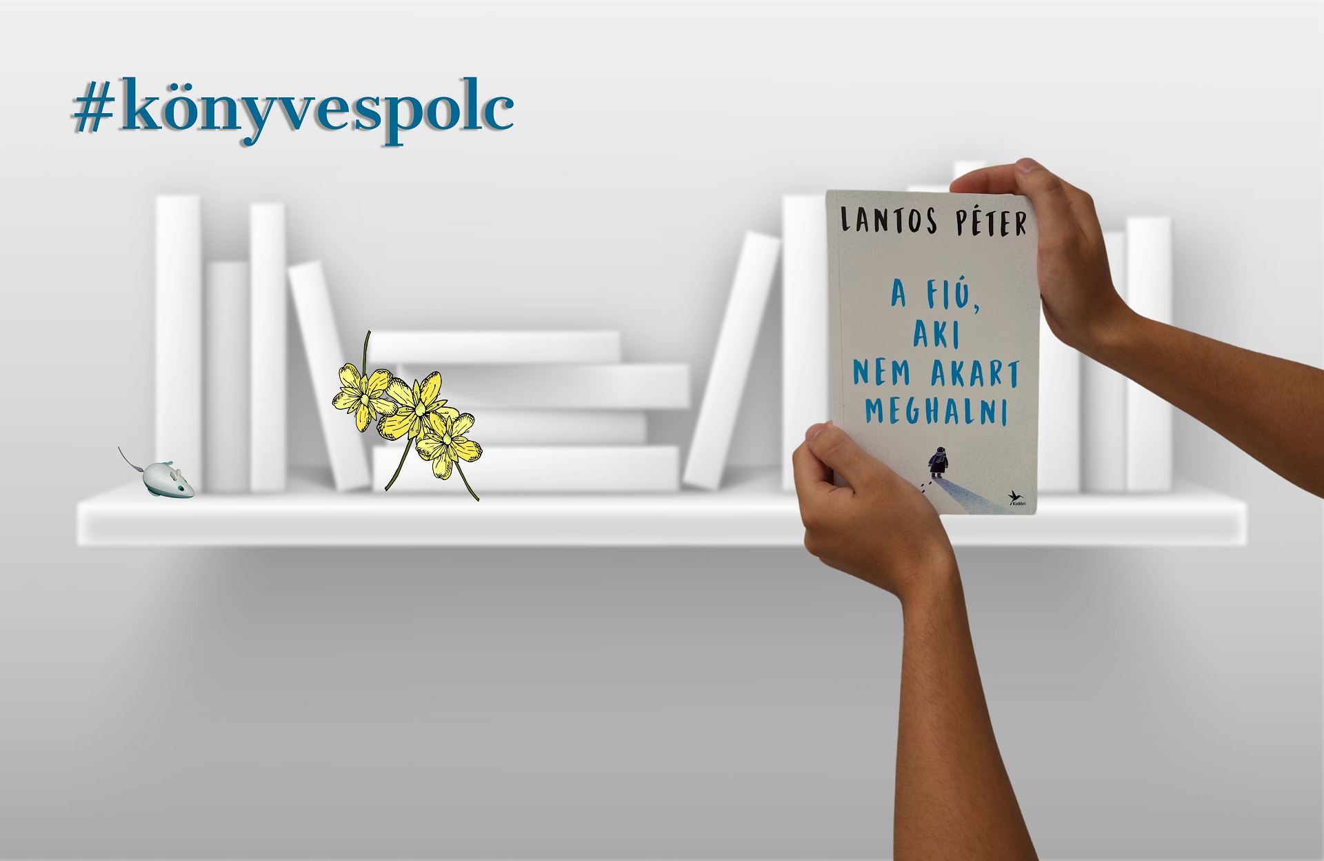 konyvespolc_lantospeter konyvespolc_lantospeter