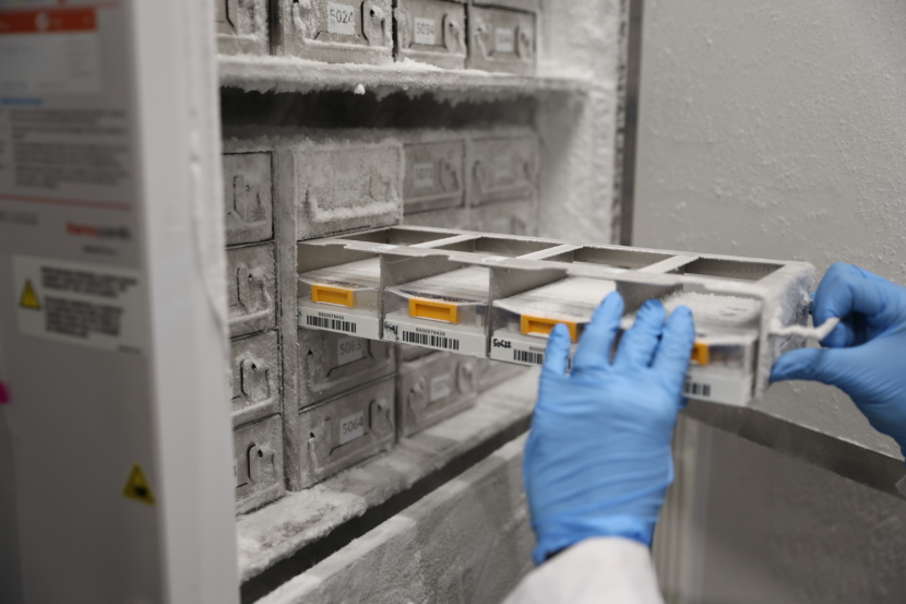 Biologiai_mintak_tarolasa_a_SZTE_Biobankban Biologiai_mintak_tarolasa_a_SZTE_Biobankban