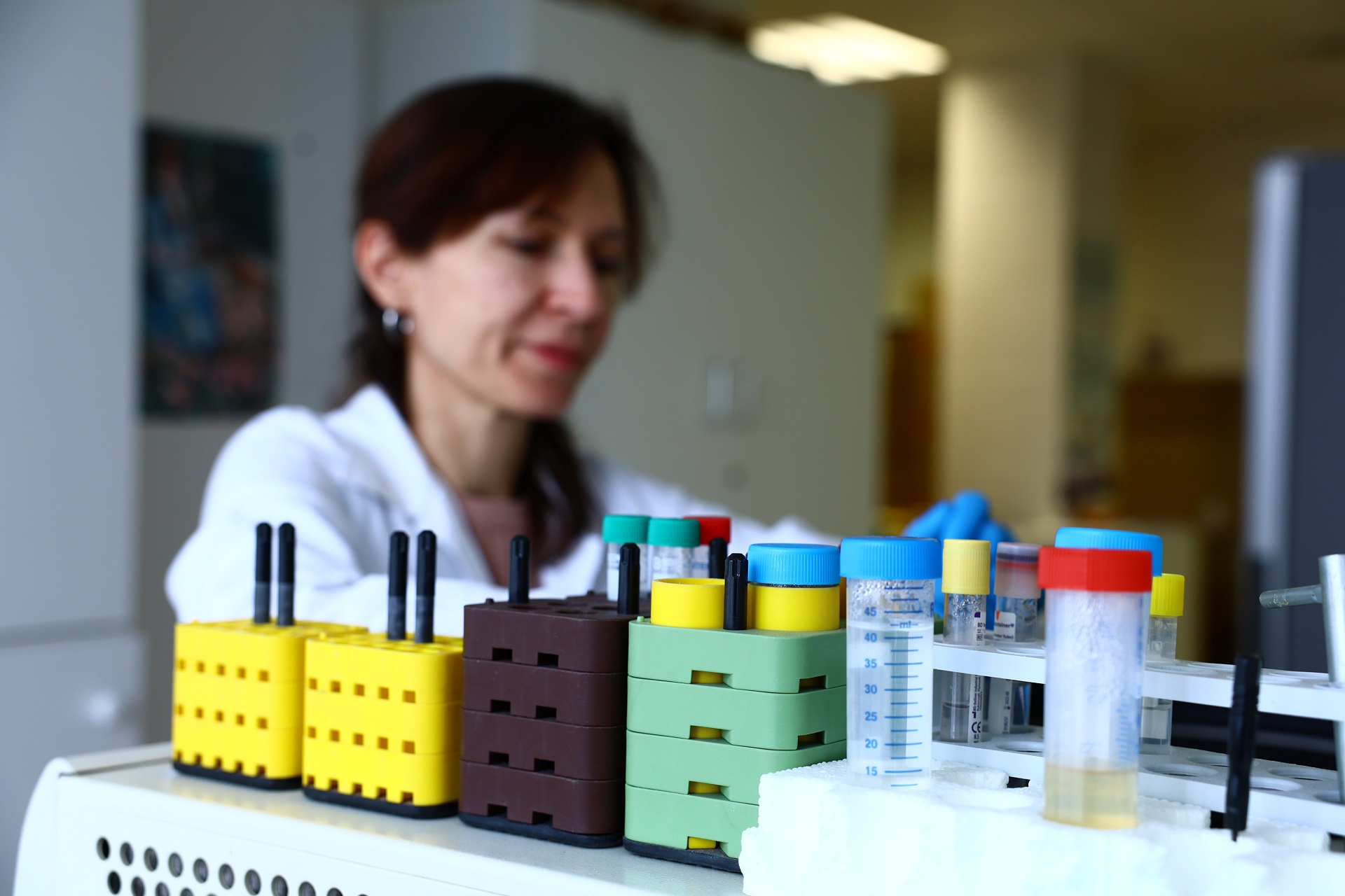 SZTE_HU-rizont_2026 SZTE_HU-rizont_2026