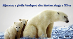 Polar_plakatkezdo Polar_plakatkezdo