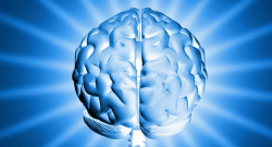 agykontroll agykontroll